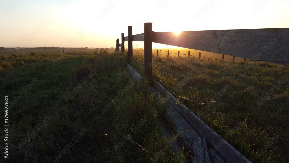 Fototapeta premium Farm