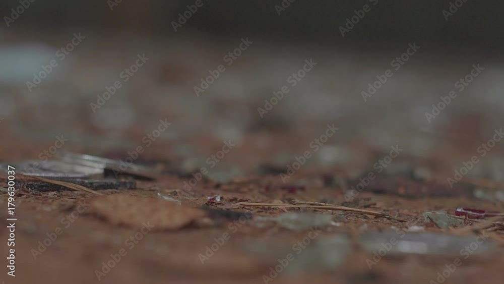 Silver bitcoin roll and rotate on a blurred background Silver bitcoin roll and rotate on a blurred background