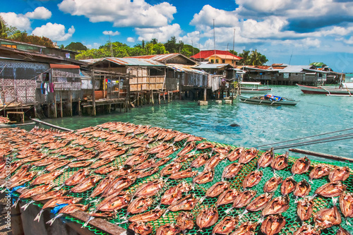 Drying Bangus in the Sun photo