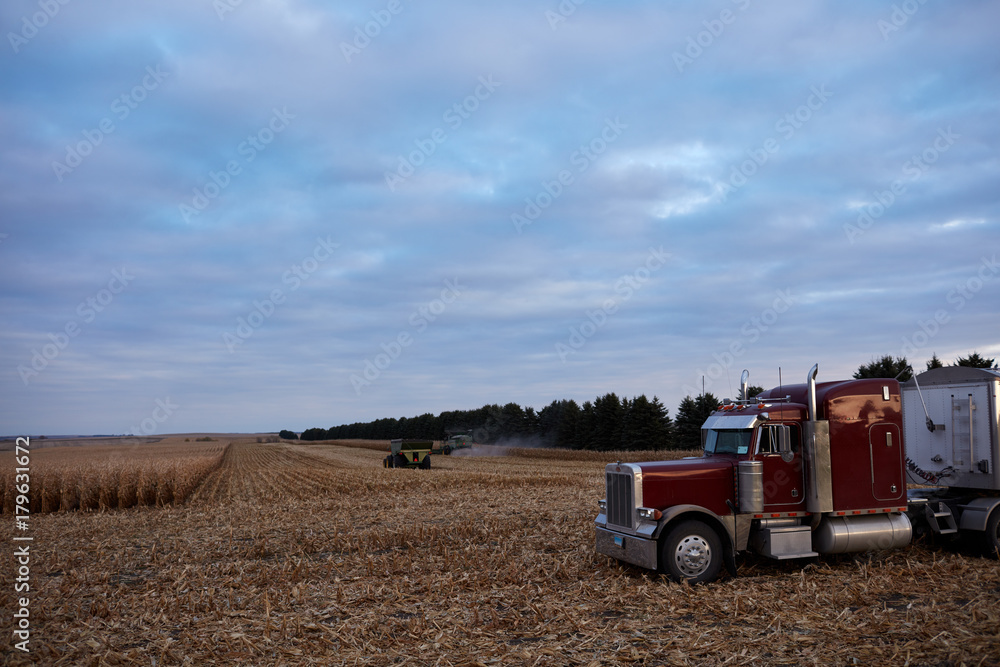 Obraz premium Large semi waiting at the edge of a maize field