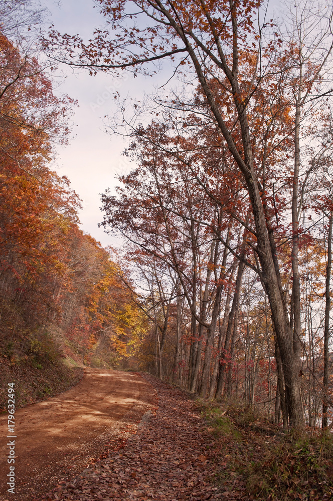 A winding dirt road through the woods in the fall