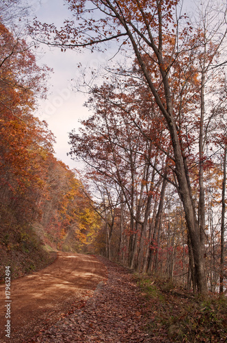 A winding dirt road through the woods in the fall