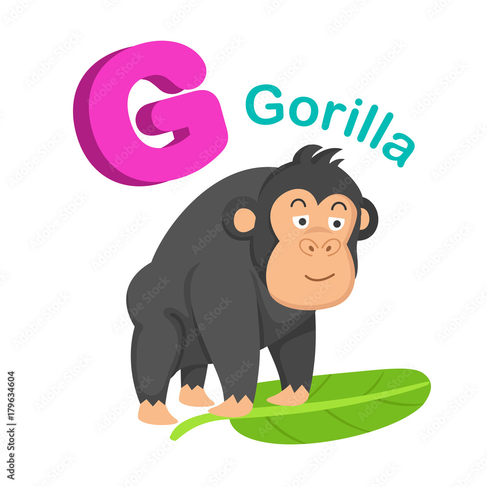 Obraz premium Illustration Isolated Alphabet Letter G Gorilla