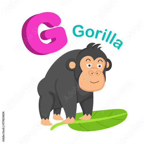 Illustration Isolated Alphabet Letter G Gorilla