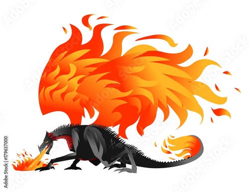 fire black dragon