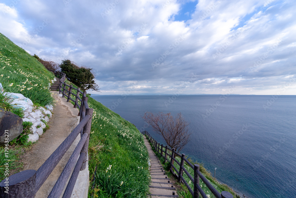 Obraz premium 水仙