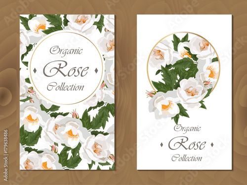 rose card on wooden background photo