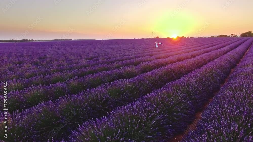 AERIAL 4K: Woman with a Swaying Flag of France in Lavender Field. Traveller enjoying endless blooming lavender fields at sunset. Plateau du Valensole, Provence, France AERIAL 4K: Woman with a Swaying Flag of France in Lavender Field. Traveller enjoying endless blooming lavender fields at sunset. Plateau du Valensole, Provence, France