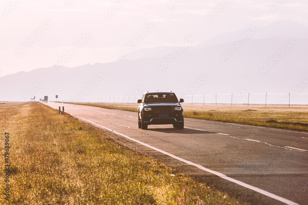 Fototapeta premium road on grassland