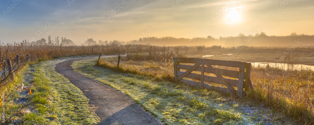Naklejka premium Track in misty agricultural landscape