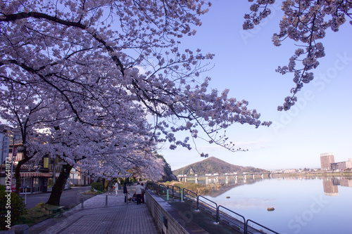 Waterfront Bloom