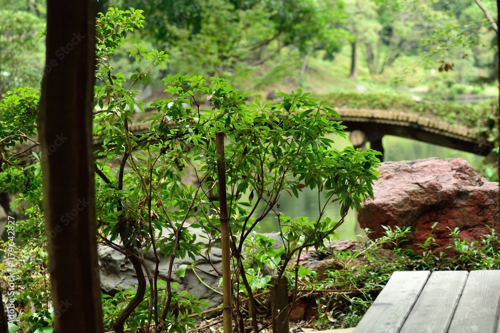 Obraz premium 六義園 涼しげな和の風景