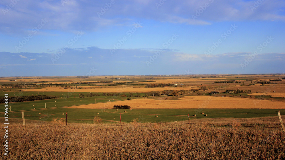 Obraz premium Prairie Fields