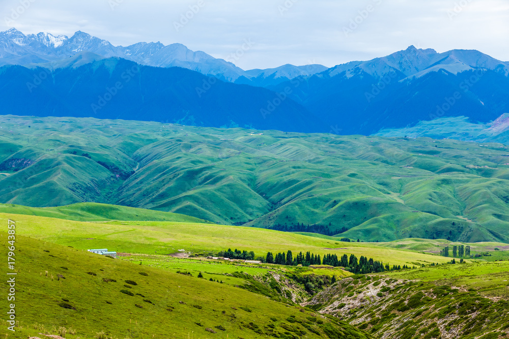 Obraz premium grassland in Xinjiang