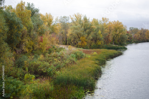 Fototapeta Naklejka Na Ścianę i Meble -  Beautiful autumn landscape with colorful trees. Ukrainian riverband