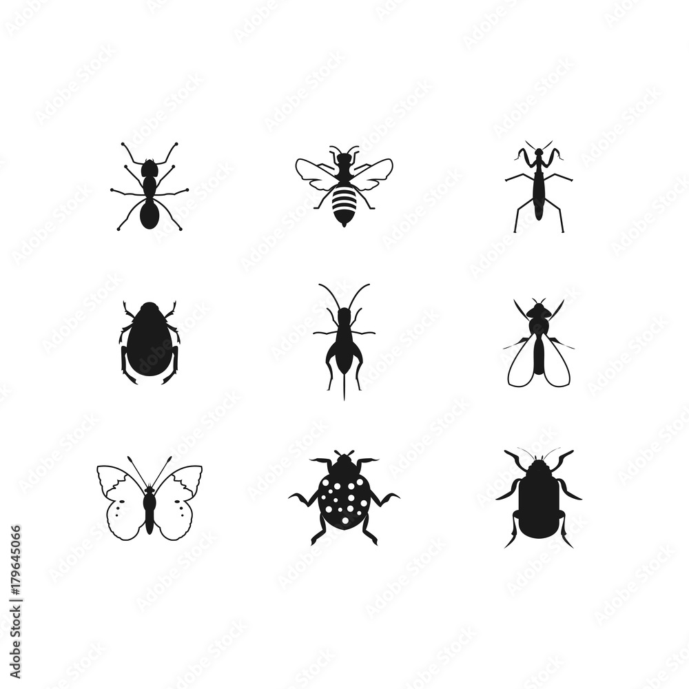 Obraz premium Insects glyph icons set. Spider, mantis, cockroach, woodlice, housefly, ladybug, mite, moth. Silhouette symbols. Vector isolated illustration