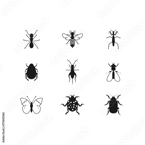 Insects glyph icons set. Spider, mantis, cockroach, woodlice, housefly, ladybug, mite, moth. Silhouette symbols. Vector isolated illustration