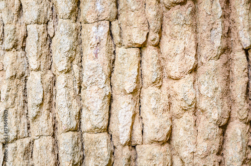 abstract texture background...