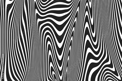 Abstract wavy black and white stripes pattern of twisted curved ripple lines background. Vector modern trendy background curves or geometric zebra backdrop