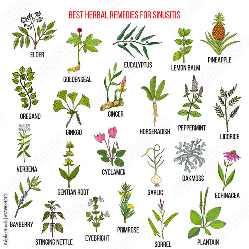 Best herbal remedies for sinusitis