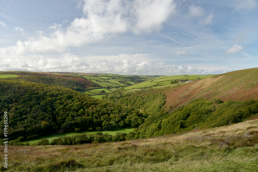 Naklejka premium View over Exmoor from County Gate, North Devon