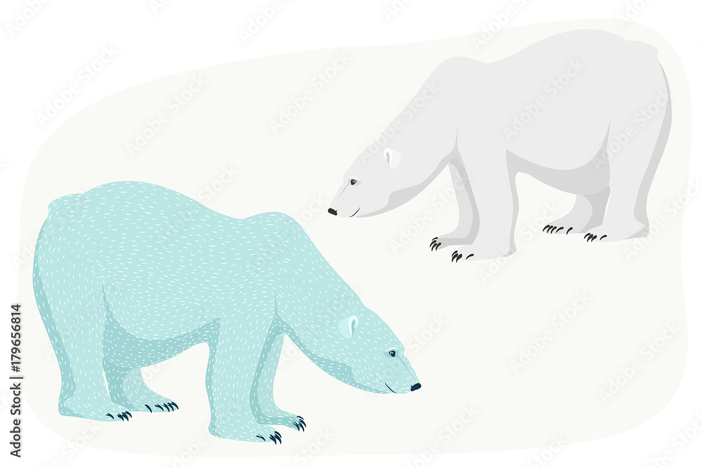 Polar bear cartoon style characters. Isolated blue and grey species on white background. Arctic carnivore marine mammal predator. Big adult boar sow leaning forward, watching, hunting. Polar bear cartoon style characters. Isolated blue and grey species on white background. Arctic carnivore marine mammal predator. Big adult boar sow leaning forward, watching, hunting.