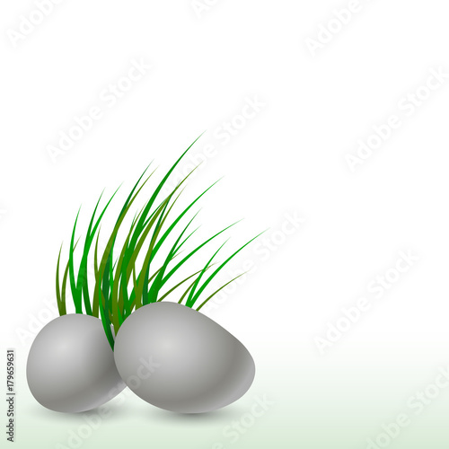 green background stones with grass nature eco style beauty