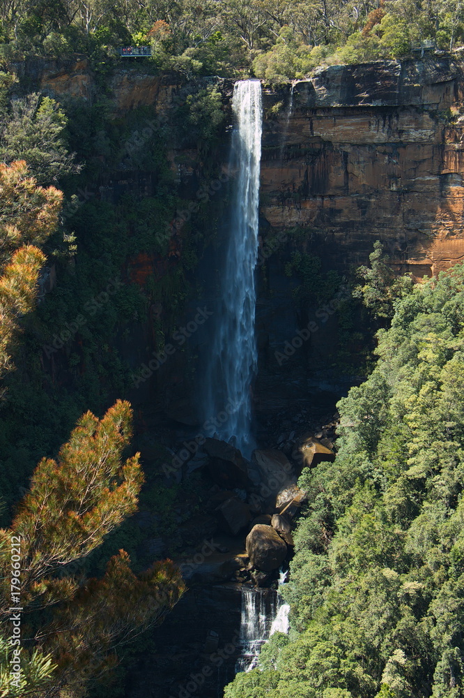 Fitzroy Falls im Morton NP in Australien