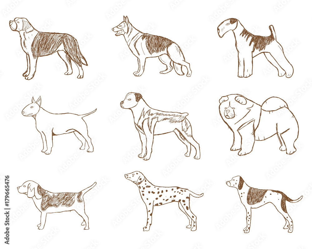 Dogs Set. Vector Illustration. Dogs Set. Vector Illustration.