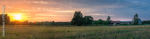 Deers having a morning feast on the crop field at sunrise. Mild morning sunlight shines upon the field next to forest. Deer family staying together and protecting themselves.