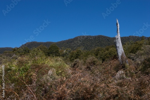 lake waikaremoana Te urewera National Park New Zealand photo