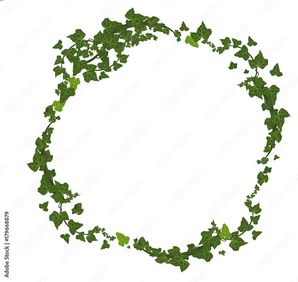 Vector fall frame with ivy Vector fall frame with ivy
