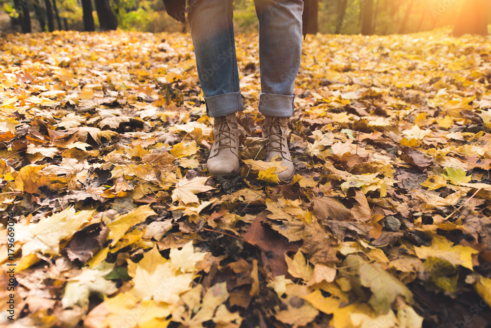 person standing on fallen leaves person standing on fallen leaves