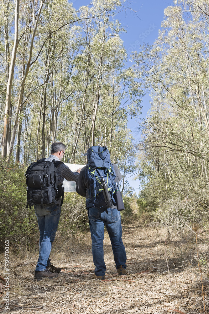 Hikers in the woods Hikers in the woods