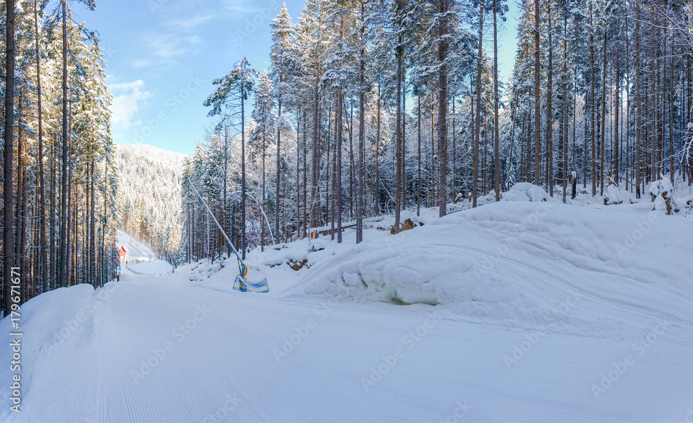 Ski piste among of forest on ski resort in Carpathians Ski piste among of forest on ski resort in Carpathians
