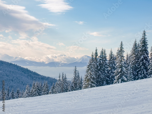 Winter landscape of the Carpathian Mountains © An-T