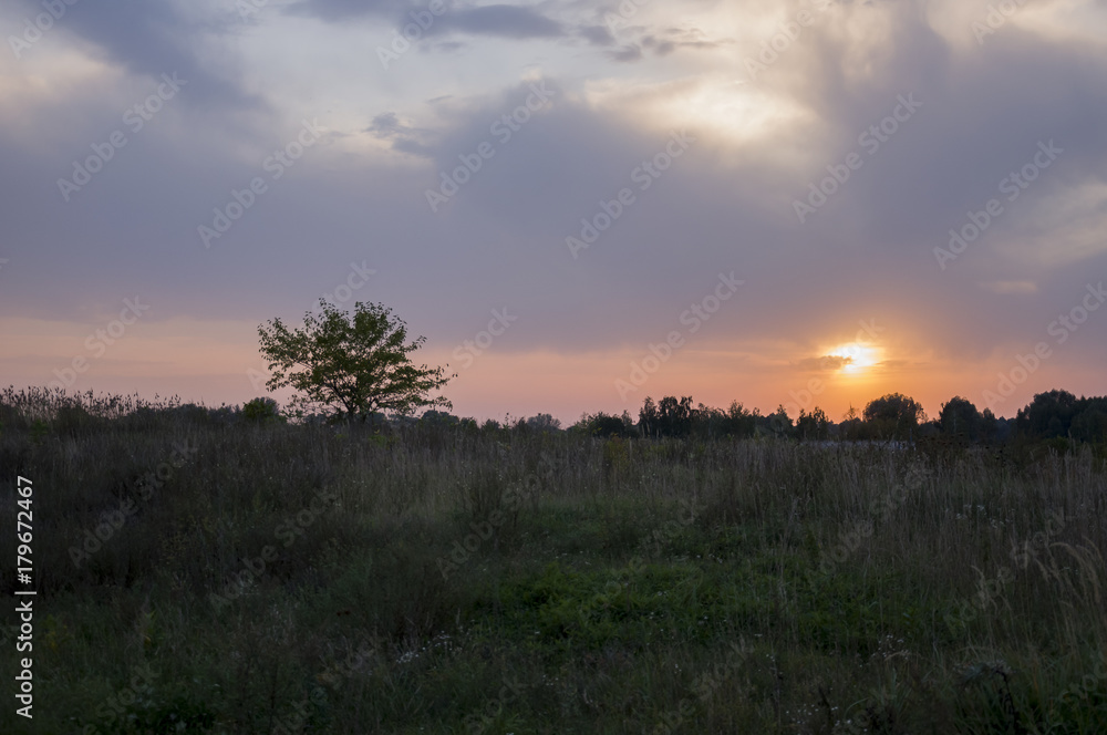 Sundown and sunrises. Purple violet sky and much clouds. Silhouette of lonely tree in the dark meadow on the background of heaven. Tender evening Sundown and sunrises. Purple violet sky and much clouds. Silhouette of lonely tree in the dark meadow on the background of heaven. Tender evening