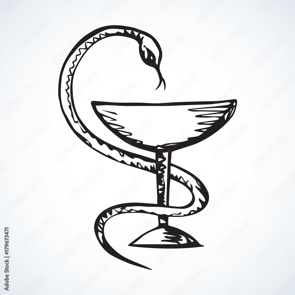 Snake on the bowl. Vector drawing Snake on the bowl. Vector drawing