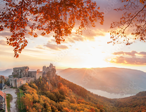 Canvas Print Aggstein castle with autumn forest in Wachau, Austria