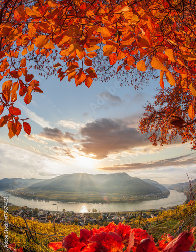 Obraz na plátně Landscape of Wachau valley, Spitz village with Danube river in Austria