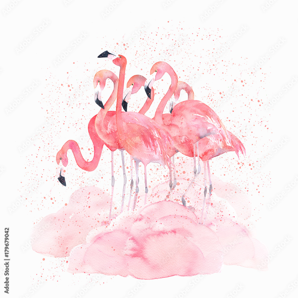 Fototapeta premium Akwarela flamingi z odrobiną. Ręcznie rysowane ilustracja na białym tle