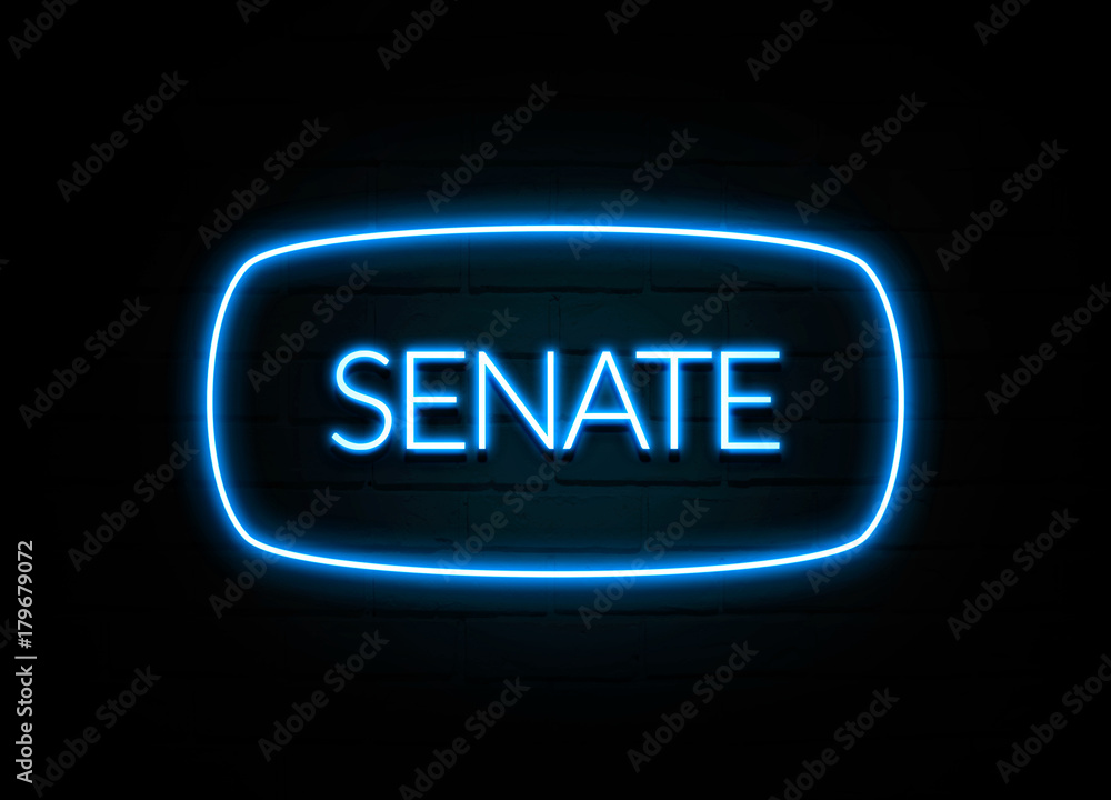 Senate - colorful Neon Sign on brickwall Senate - colorful Neon Sign on brickwall