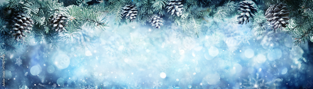 Wintry Banner - Snowy Fir Branches With Snowfall
