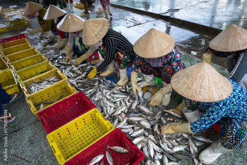 Caught fishes sorting to baskets by Vietnamese women workers in Tac Cau fishing port, Me Kong delta province of Kien Giang, south of Vietnam