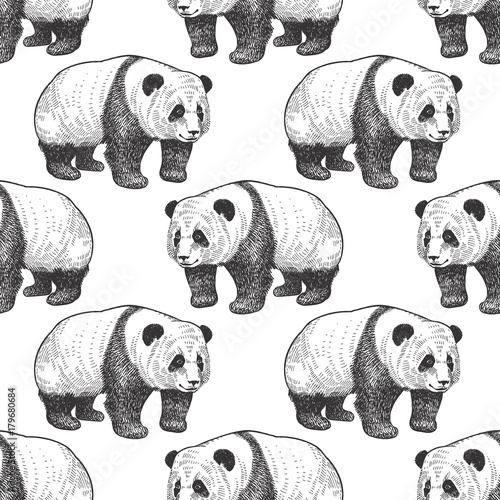Seamless pattern with panda.
