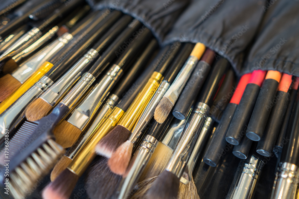 Professional make up cosmetic brushes Professional make up cosmetic brushes