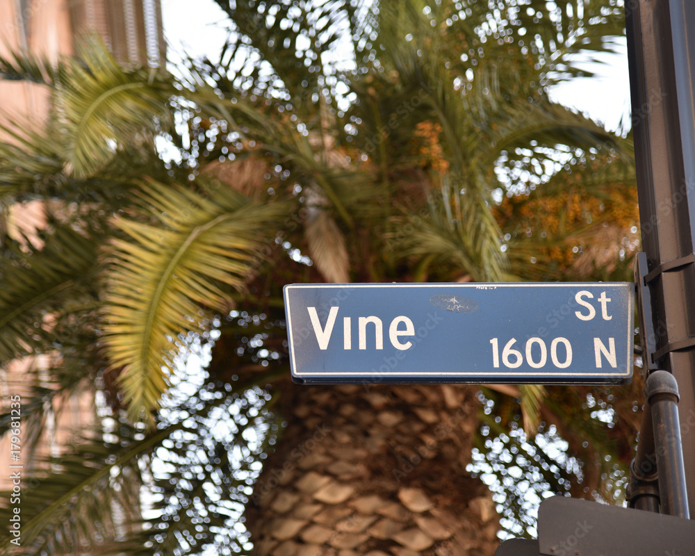 Fototapeta premium Vine Street