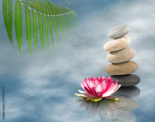 stones and lotus flower on water close up