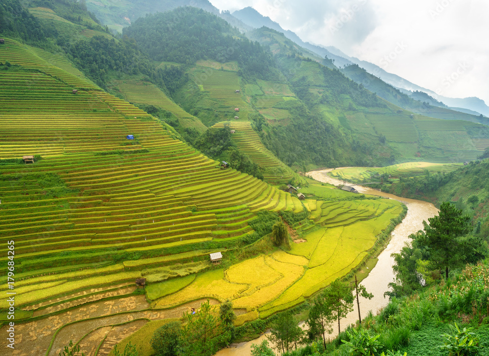 Rice fields on terraced of Mu Cang Chai, YenBai, Rice fields prepare the harvest at Northwest Vietnam. Vietnam landscapes.