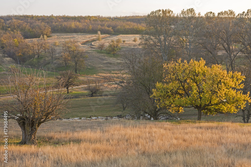 Fototapeta Naklejka Na Ścianę i Meble -  Sheep graze in the hills, Sheep at sunset